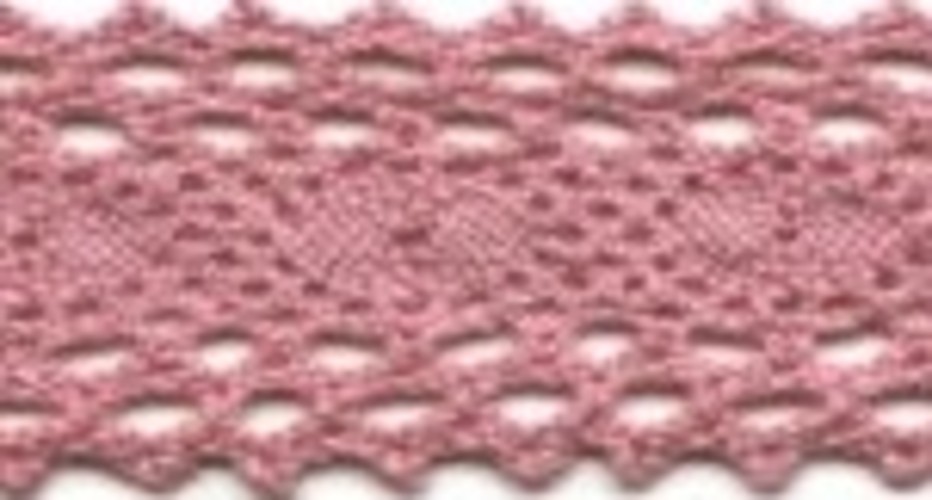 lace wild berries.jpg